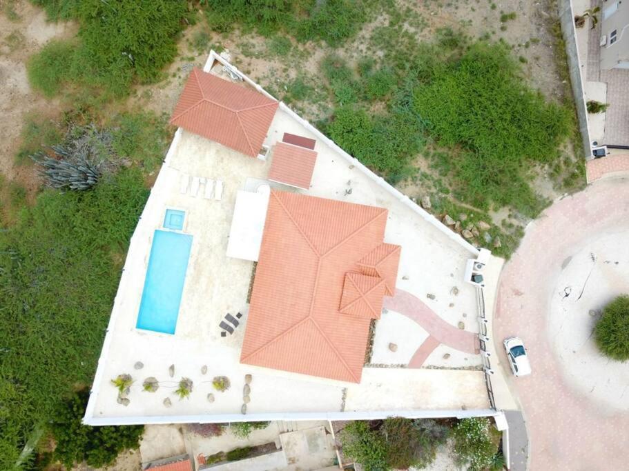 Jolie Villa Entire Villa In Noord, Aruba Palm Beach Dış mekan fotoğraf